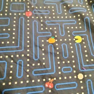 Pottery Barn Teen Gray and Blue Arcade Fabric